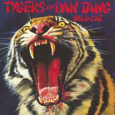 European tiger cat: as melhores imagens, fotos e ilustrações stock