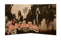 Black Stone Cherry